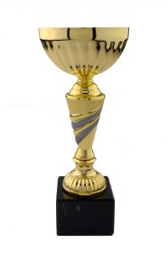 Cupe Sportive CE 04